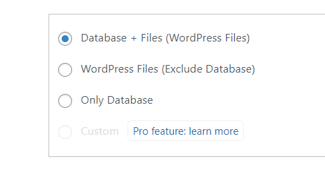 WPVivid - WordPress Plugin - backups - opção de arquivo